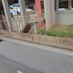 Dupla morre ao bater moto no muro da estação Floramar do metrô durante fuga da PM