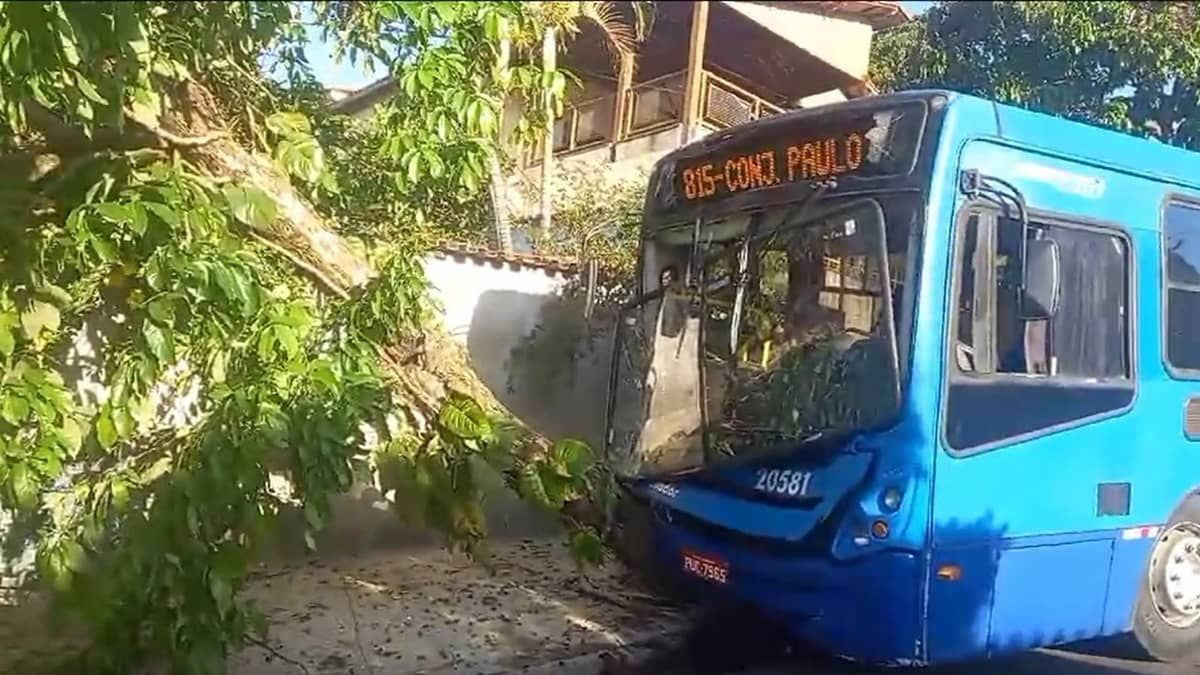 Ônibus bate em árvore e oito pessoas ficam feridas em BH