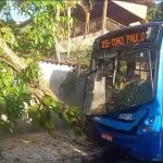 Ônibus bate em árvore e oito pessoas ficam feridas em BH