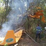 Avião agrícola bate em árvore e pega fogo no interior de São Paulo
