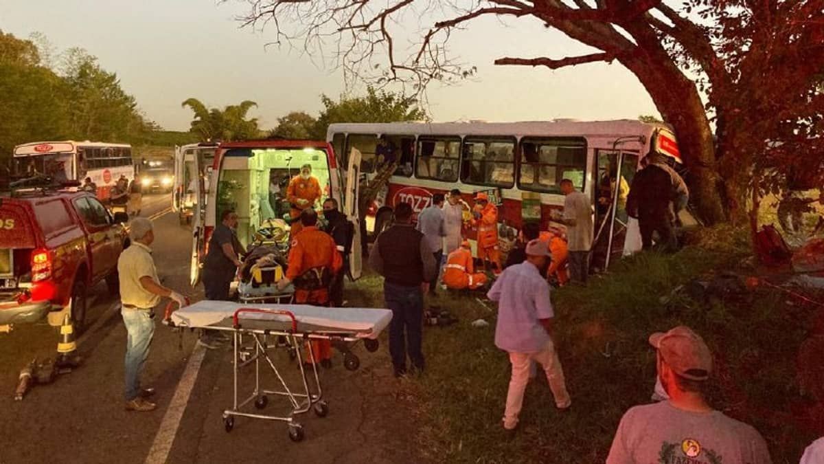 Ônibus fura pneu, bate em árvore e 30 pessoas ficaram feridas no interior de Minas; veja imagens