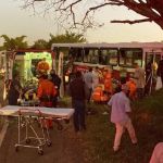 Ônibus fura pneu, bate em árvore e 30 pessoas ficaram feridas no interior de Minas; veja imagens