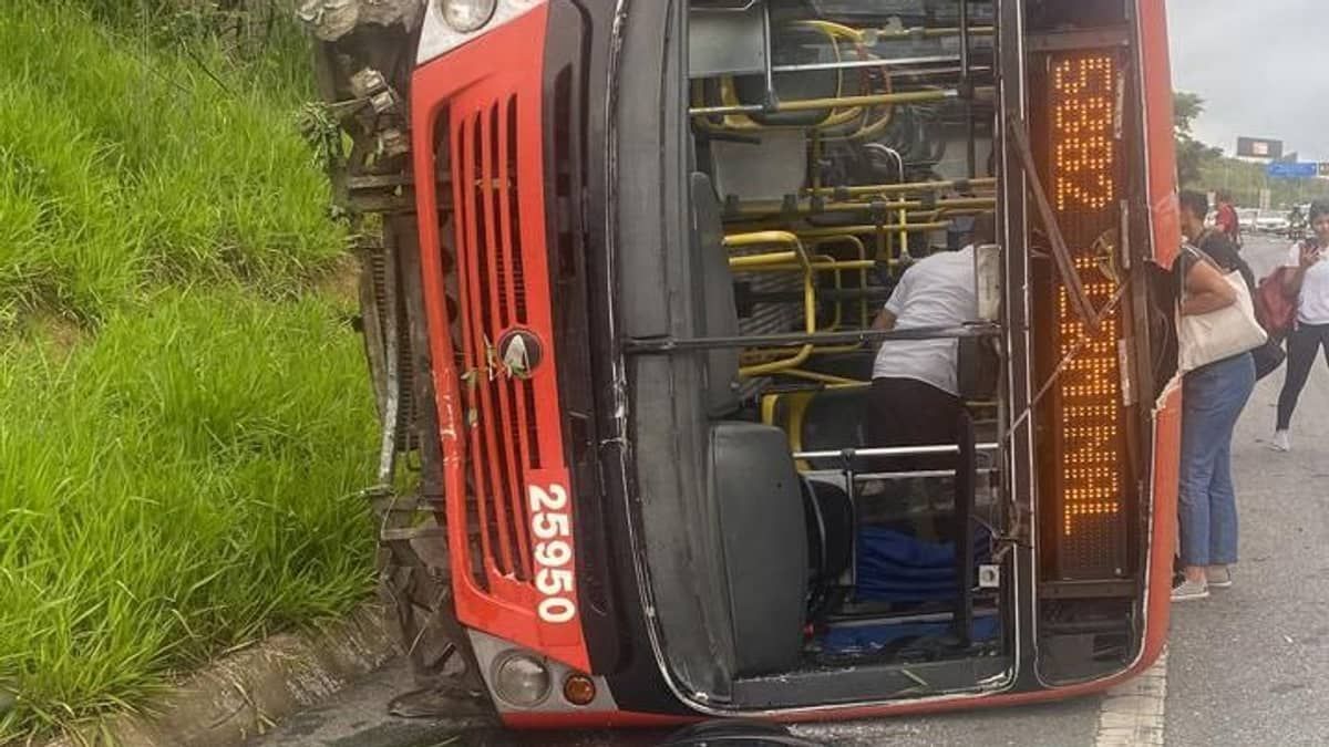 Inseto faz motorista perder o controle da direção e tombar ônibus na MG-10