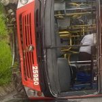 Inseto faz motorista perder o controle da direção e tombar ônibus na MG-10