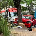 Vídeo: carro bate em árvore e duas pessoas ficam gravemente feridas em Belo Horizonte 