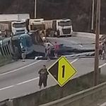 Vídeo: carreta com madeirite tomba e interdita rodovia Fernão Dias no Sul de Minas  