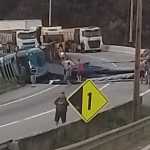 Vídeo: carreta com madeirite tomba e interdita rodovia Fernão Dias no Sul de Minas