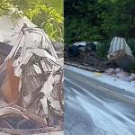Kombi e caminhão batem de frente e oito morrem em acidente em rodovia de Pernambuco