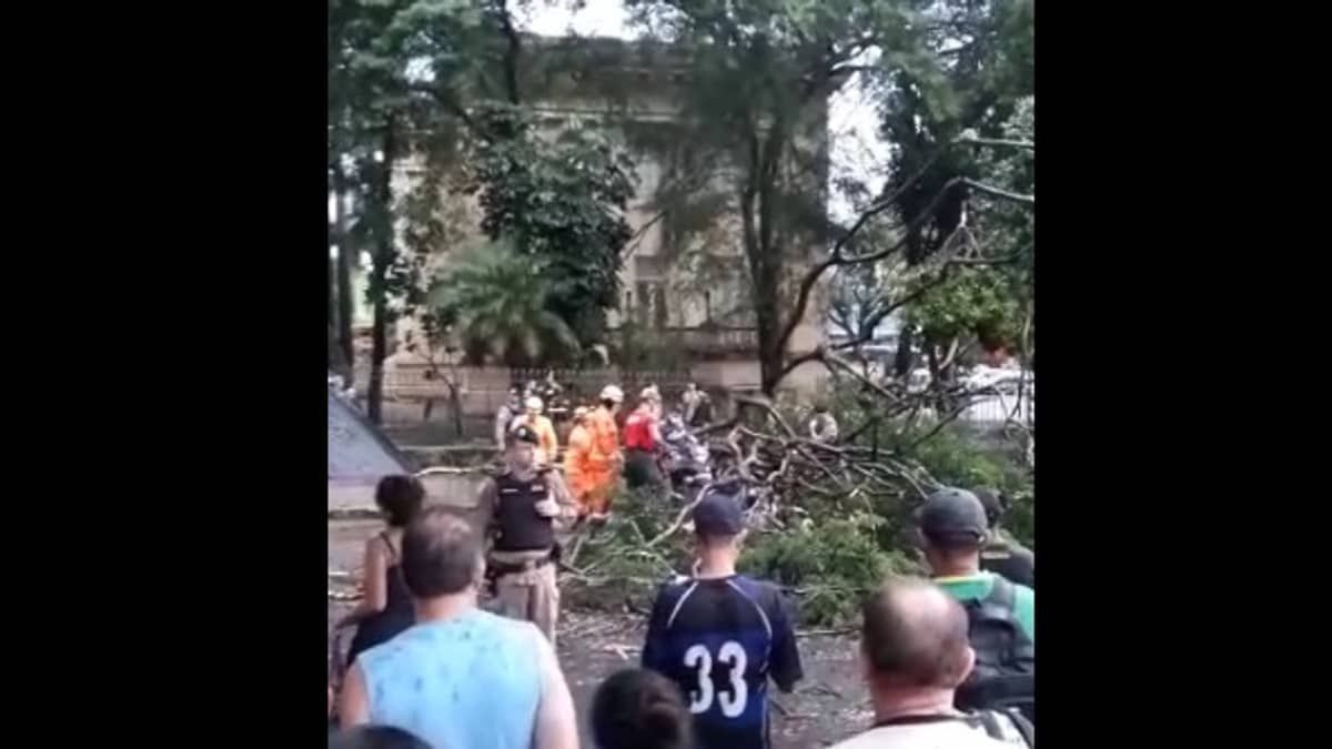 Homem atingido por árvore no Centro de BH foi socorrido em estado 'delicado' para o hospital João XXIII