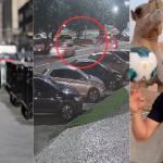 Veja quem é o influencer Vitor Viera Belarmino, que atropelou e matou recém-casado e fugiu no RJ