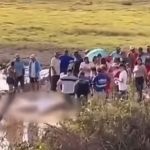 Quatro menores da mesma família morrem afogados em açude em Pernambuco