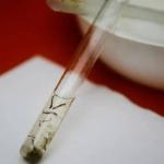 BH registra mais 11 mil casos de dengue e 9 mortes em 2023