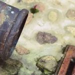 Metade da população mineira não tem acesso a esgoto tratado, aponta levantamento