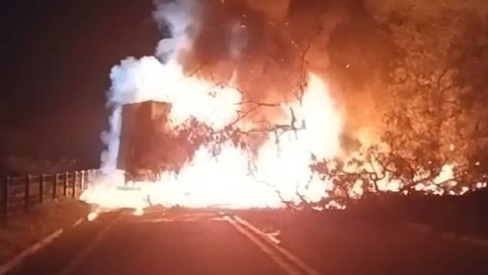 Vídeo: caminhão bate em árvore, pega fogo e homem morre na BR-259