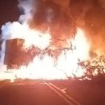 Vídeo: caminhão bate em árvore, pega fogo e homem morre na BR-259
