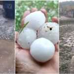 'Neve em Florestal?', chuva de granizo gera prejuízo a município na Grande BH