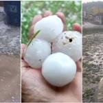 'Neve em Florestal?', chuva de granizo gera prejuízo a município na Grande BH