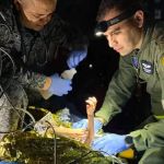 Crianças resgatadas na Amazônia colombiana apresentam melhora no estado de saúde