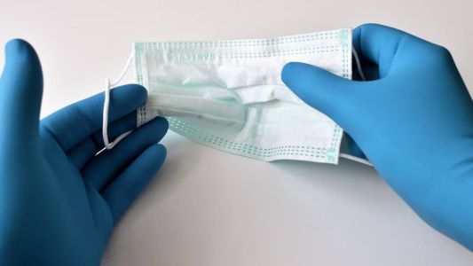 A variante foi encontrada no Estado de São Paulo