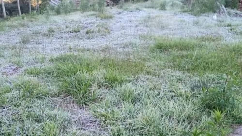 Município no Sul de Minas registra geada fora de época
