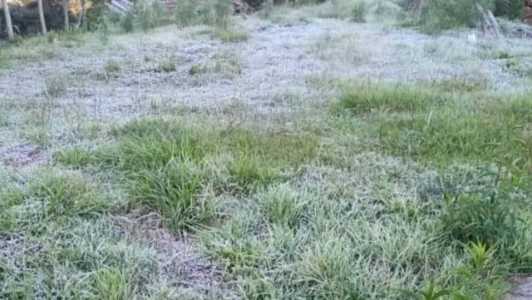 A prefeitura registrou 1°C negativo