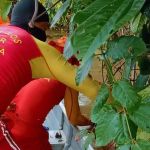 Corpo de criança morta em ataque é encontrada em área Yanomami