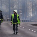 Incêndios em Tenerife estão 'estabilizados', diz presidente