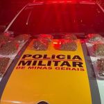 Polícia prende dono de barbearia suspeito de traficar maconha 'hiper potente' em BH