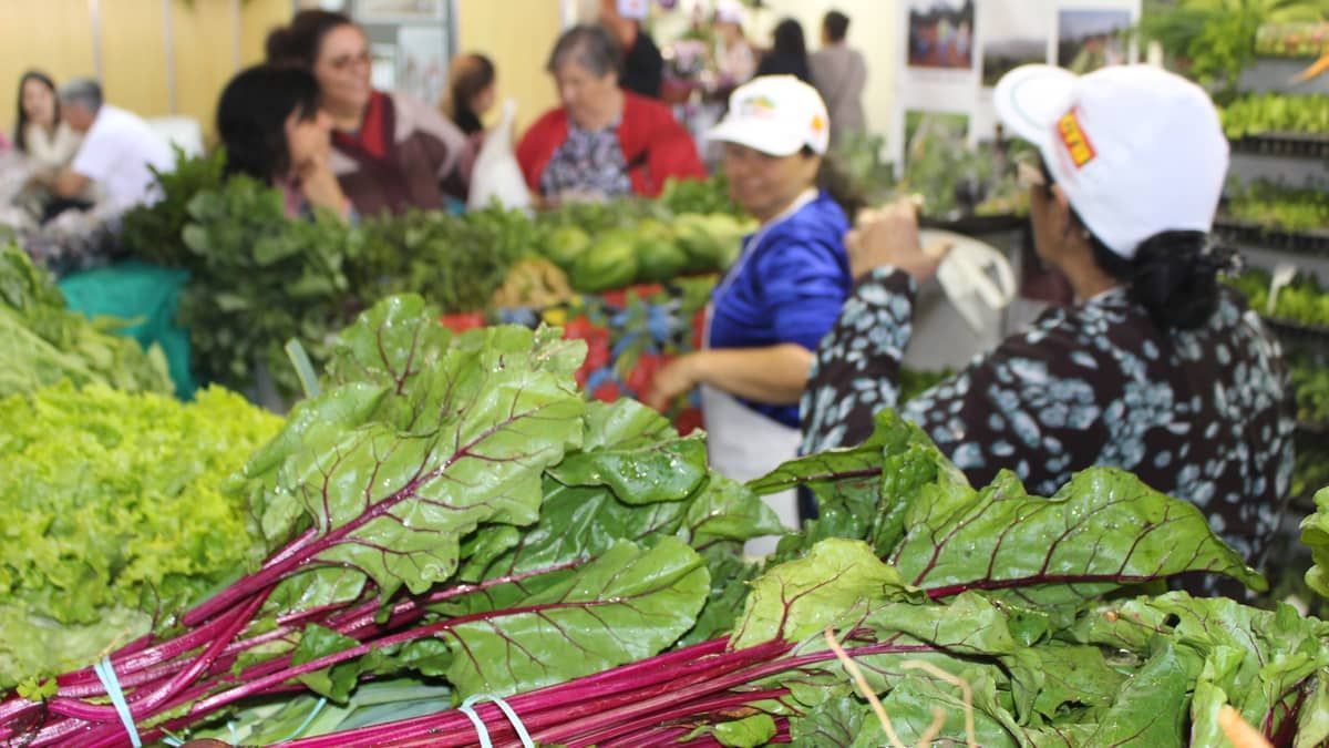 BH recebe a maior feira de agricultura familiar do país a partir desta quinta (31)