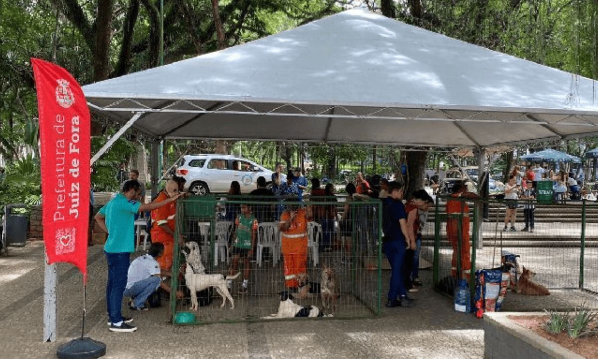Campanhas 'Me adote aí' e 'JF Solidária no Frio' unem forças neste sábado (12)