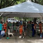 Parque Halfeld sedia último evento de adoção responsável em 2025