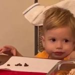 Caso Nicolas: mãe teria sido aliciada em 'grupo de mães' e polícia investiga tráfico de crianças