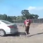 Hamas atirou à queima-roupa em jovens durante rave em Israel