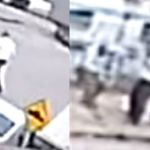 Vídeo: homem perde ação e agride advogado de 72 anos a pauladas na porta da OAB