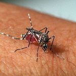 Ubá (MG) começa o ano em alto risco para infestação do Aedes aegypti