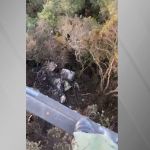 Buscas por piloto de avião que caiu em mata são retomadas no interior de SP
