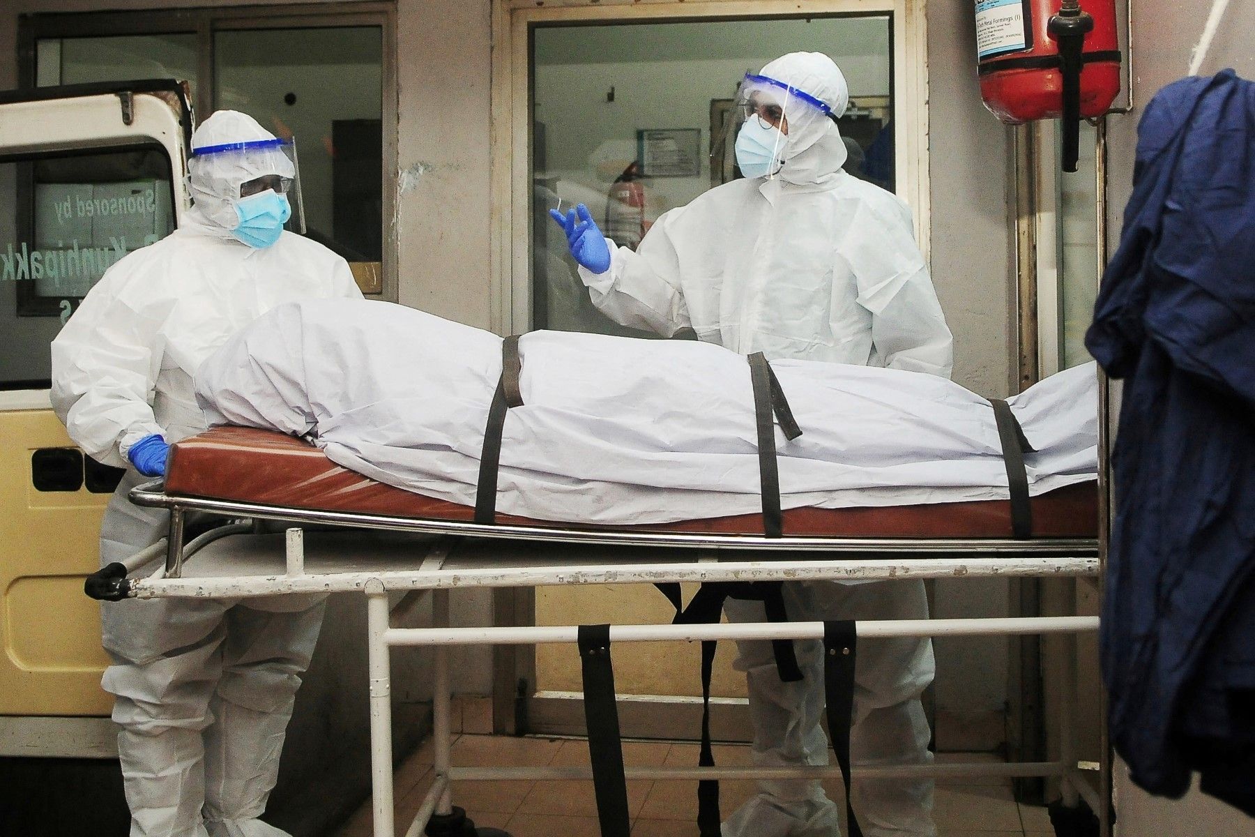 Vírus Nipah: OMS afirma que há baixo risco de transmissão global e dispensa restrições de viagens