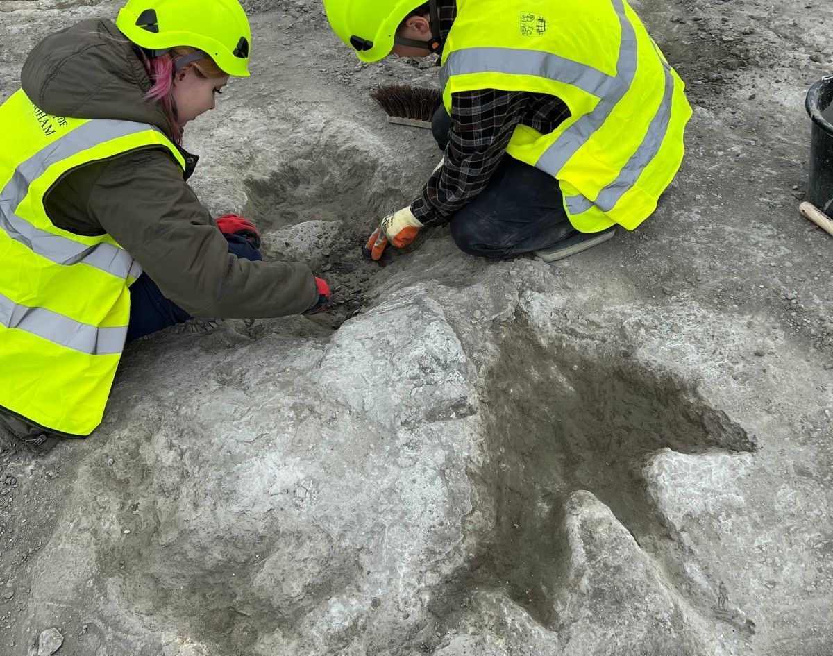 Pedreiro descobre maior sítio de pegadas de dinossauros do Reino Unido