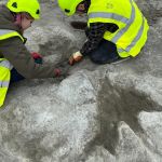 Pedreiro descobre maior sítio de pegadas de dinossauros do Reino Unido