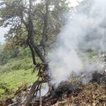 Helicóptero com peregrinos hindus cai e mata sete pessoas na Índia
