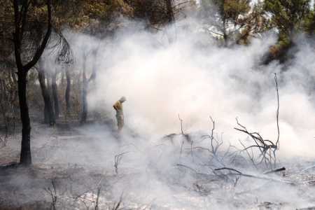 Incêndios na província de Izmir, na Turquia