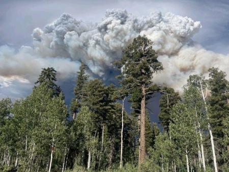Incêndio no Grand Canyon, nos EUA