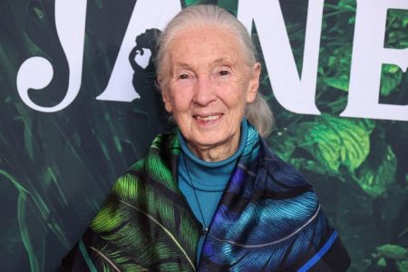Jane Goodall morre aos 91 anos. Jane Goodall, a famosa primatologista, antropóloga e conservacionista, morreu na quarta-feira, 1º de outubro de 2025, de acordo com o instituto que ela fundou.