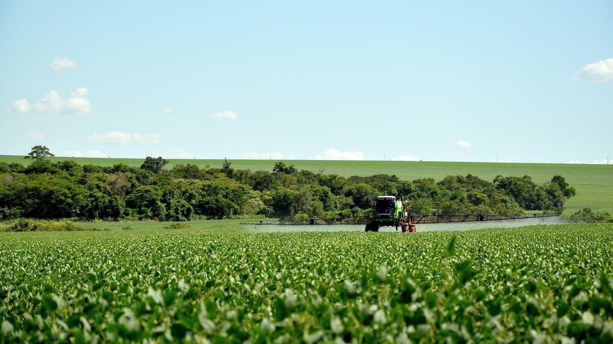 Fim dos agrotóxicos? Governo lança programa para incentivar a agroecologia