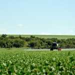Fim dos agrotóxicos? Governo lança programa para incentivar a agroecologia