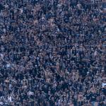 Corinthians x Santos: saiba como comprar ingressos