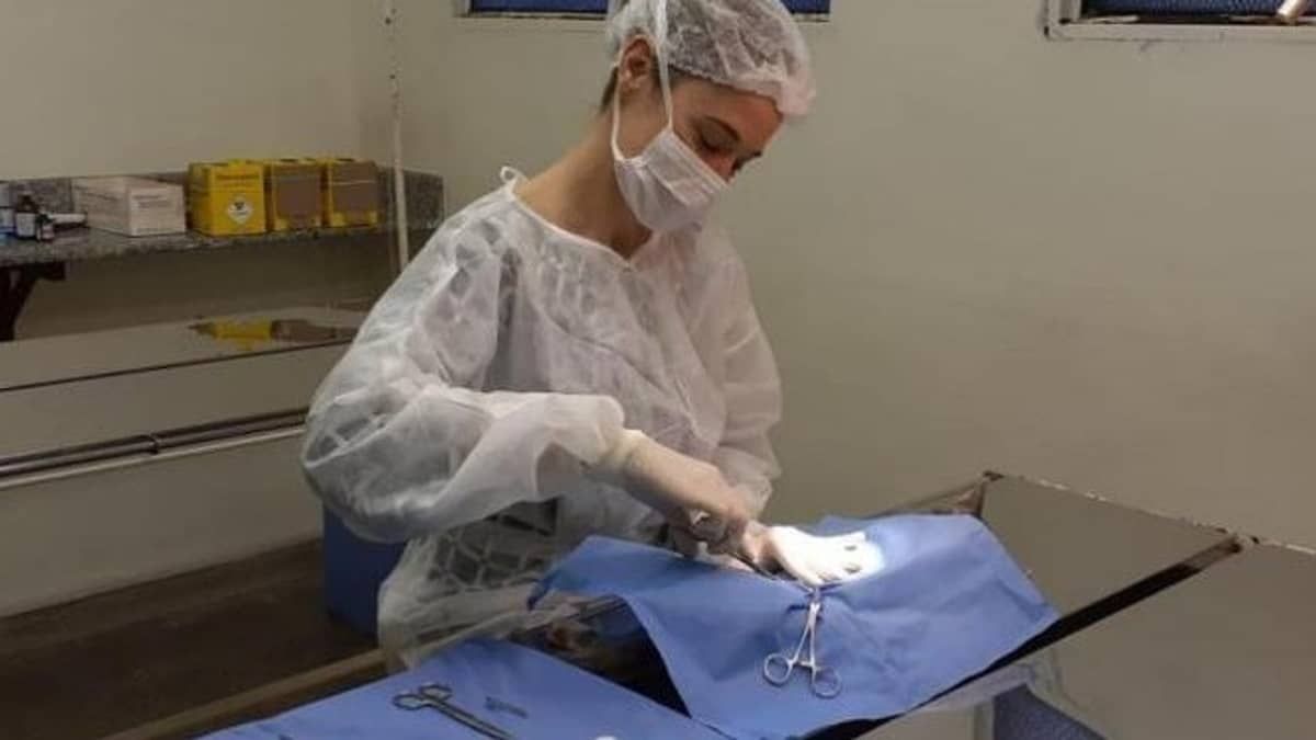 Agendamento para castração de cães e gatos será aberta na próxima segunda-feira em Belo Horizonte 