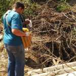 Agentes de endemia vistoriam sete bairros de Juiz de Fora nesta semana