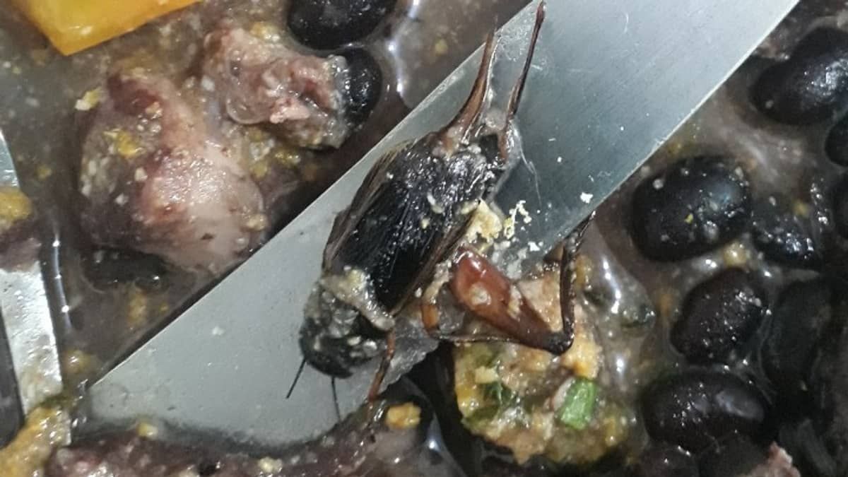 Agentes e presos denunciam comida estragada com barata e moscas em Minas
