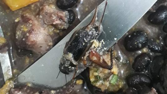 Agentes e presos denunciam comida estragada em presídio. Barata e moscas são encontradas na alimentação